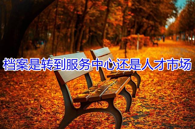档案是转到服务中心还是人才市场