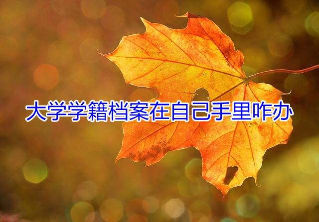 大学学籍档案在自己手里咋办