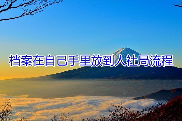 档案在自己手里放到人社局流程