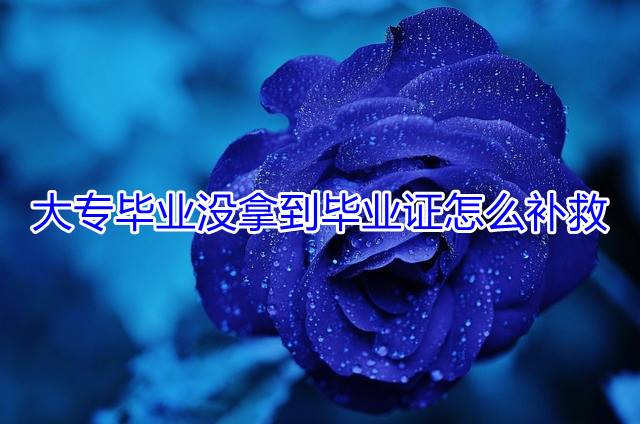 大专毕业没拿到毕业证怎么补救