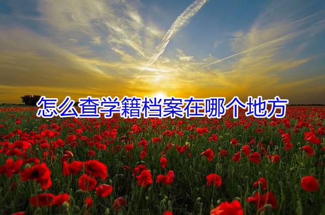 怎么查学籍档案在哪个地方