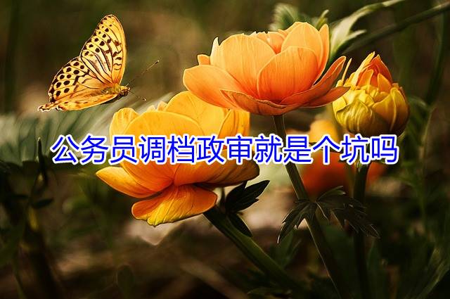 公务员调档政审就是个坑吗