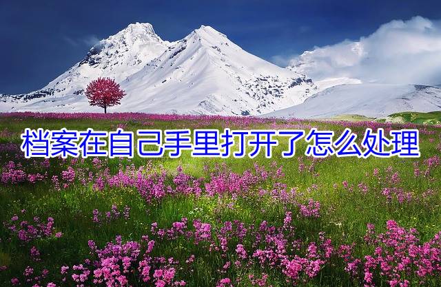 档案在自己手里打开了怎么处理