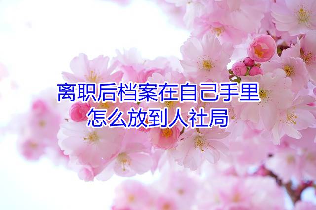 离职后档案在自己手里怎么放到人社局