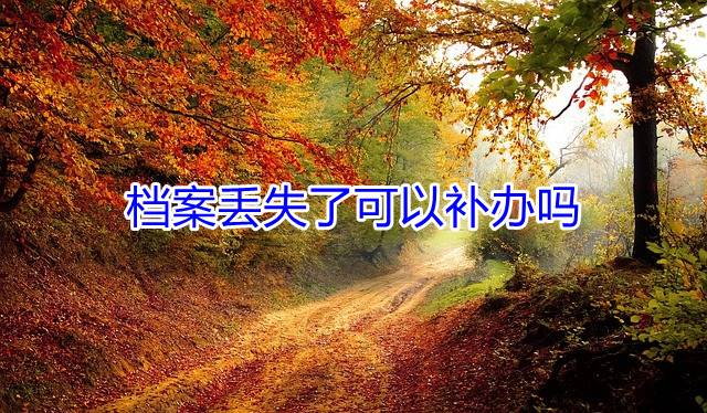 档案丢失了可以补办吗