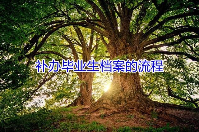 补办毕业生档案的流程