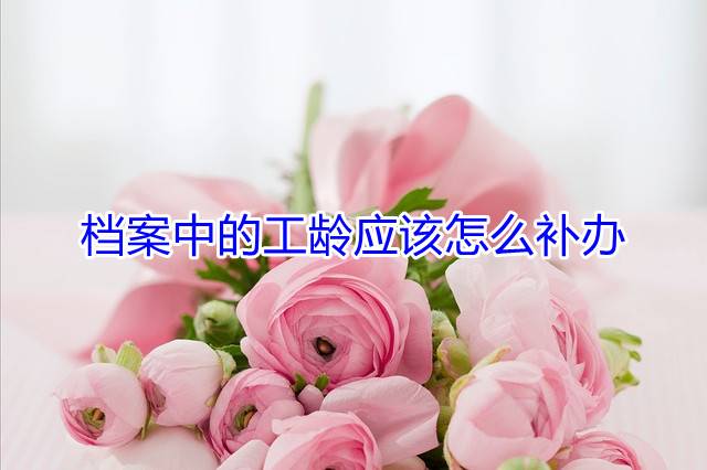 档案中的工龄应该怎么补办