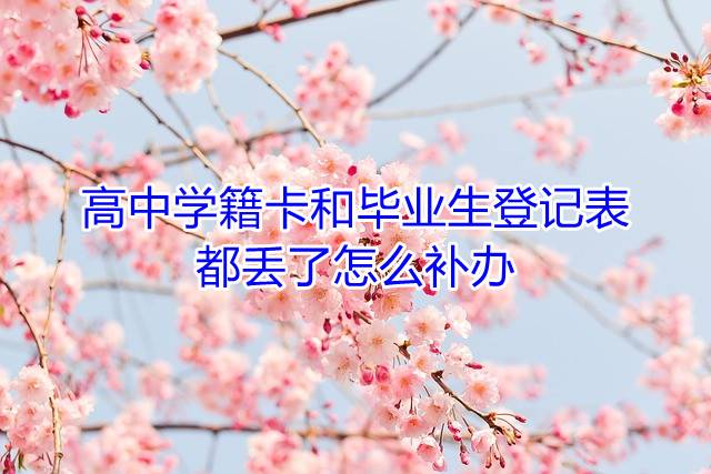 高中学籍卡和毕业生登记表都丢了怎么补办