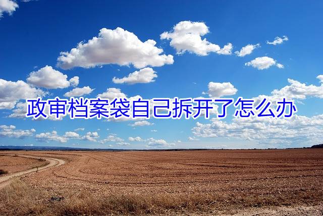 政审档案袋自己拆开了怎么办