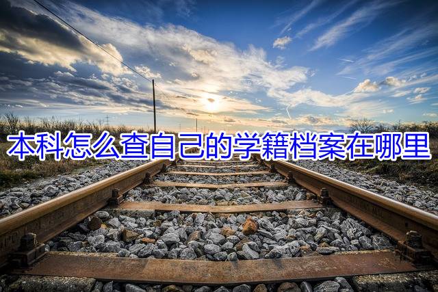 本科怎么查自己的学籍档案在哪里