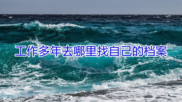 工作多年去哪里找自己的档案
