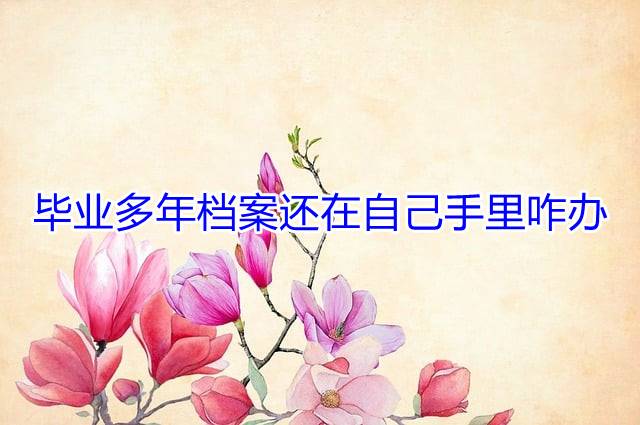 毕业多年档案还在自己手里咋办