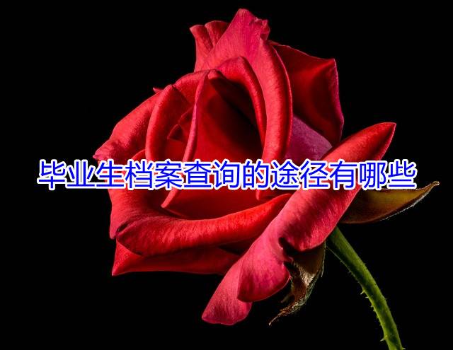 毕业生档案查询的途径有哪些