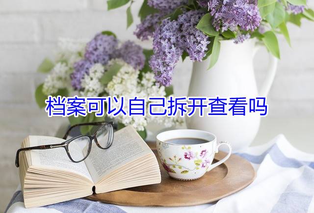 档案可以自己拆开查看吗