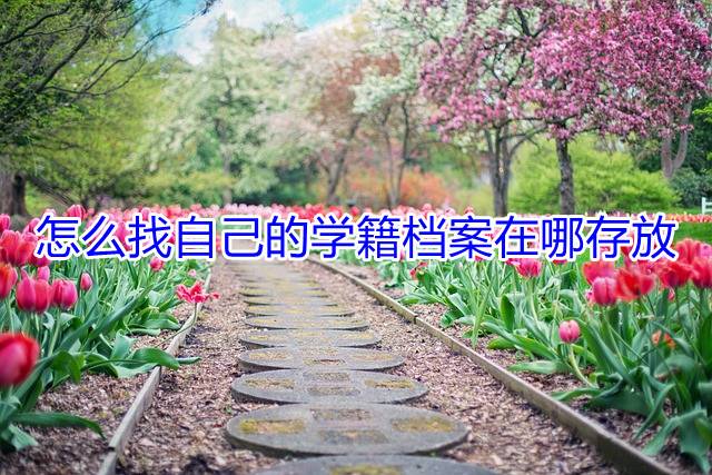 怎么找自己的学籍档案在哪存放