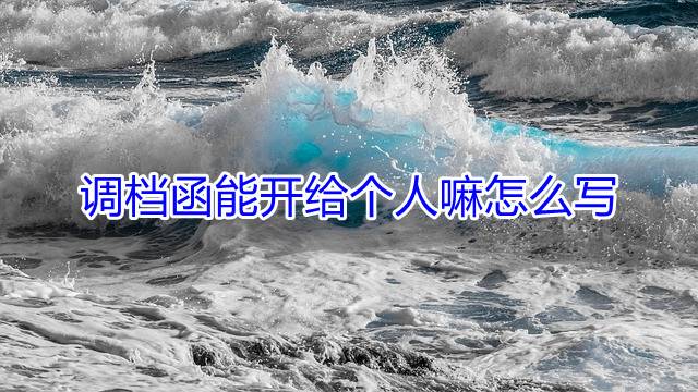 调档函能开给个人嘛怎么写