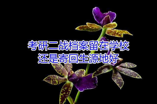 考研二战档案留在学校还是寄回生源地好