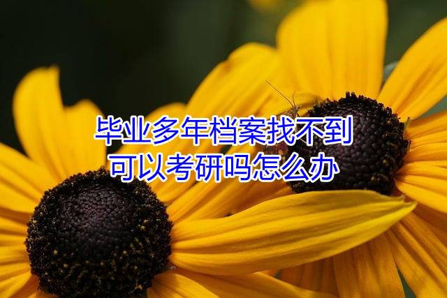 毕业多年档案找不到可以考研吗怎么办