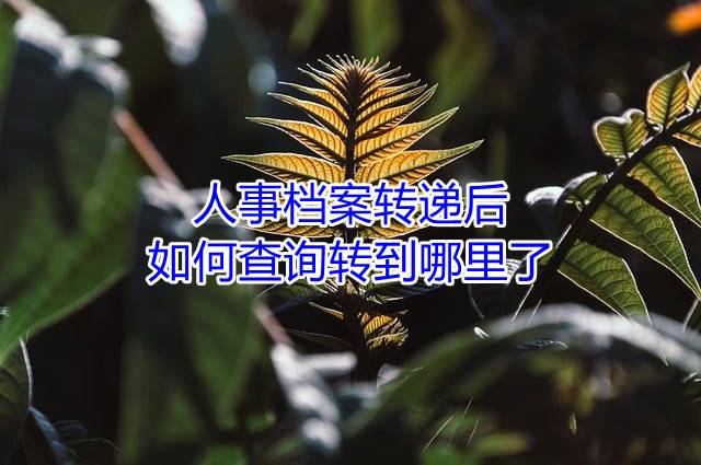 人事档案转递后如何查询转到哪里了