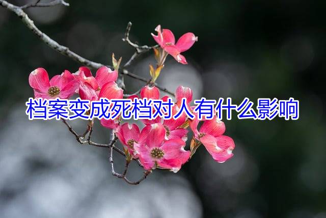 档案变成死档对人有什么影响