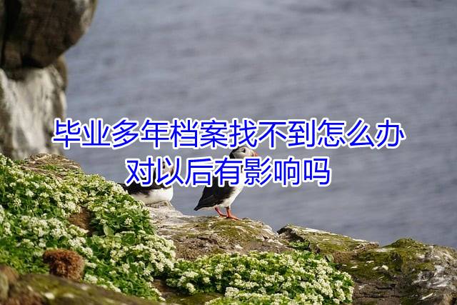 毕业多年档案找不到怎么办对以后有影响吗