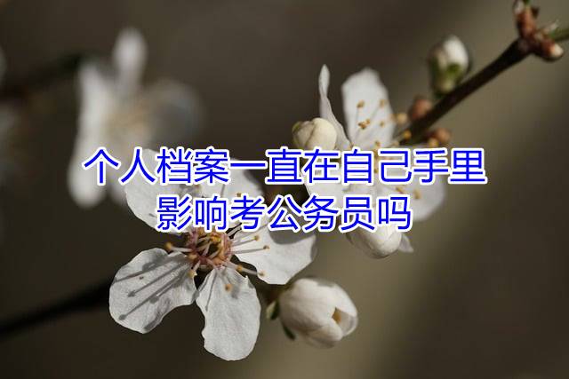 个人档案一直在自己手里影响考公务员吗