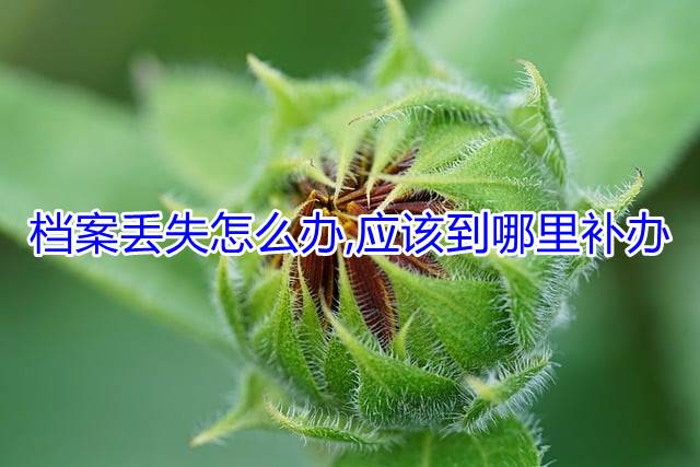 档案丢失怎么办,应该到哪里补办