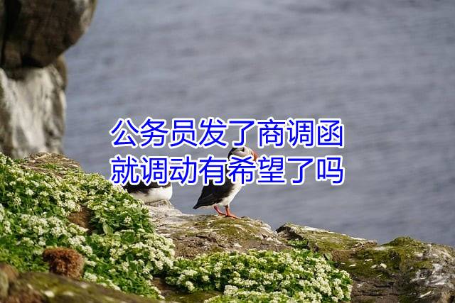 公务员发了商调函就调动有希望了吗