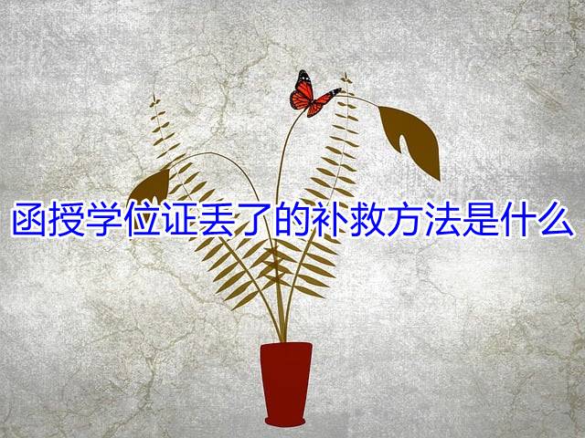 函授学位证丢了的补救方法是什么