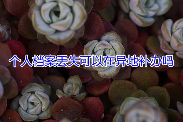 个人档案丢失可以在异地补办吗