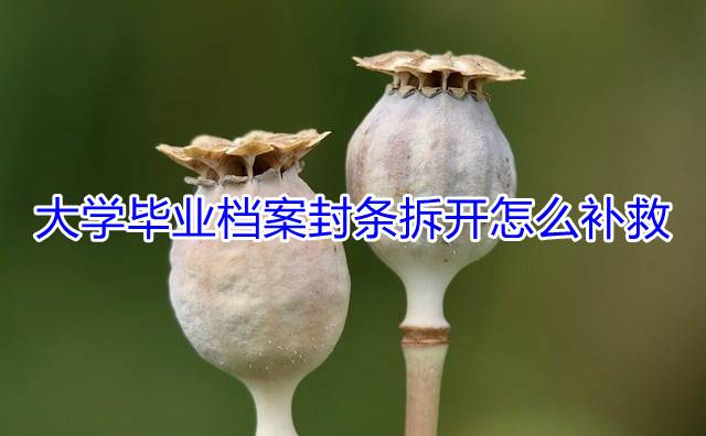 大学毕业档案封条拆开怎么补救