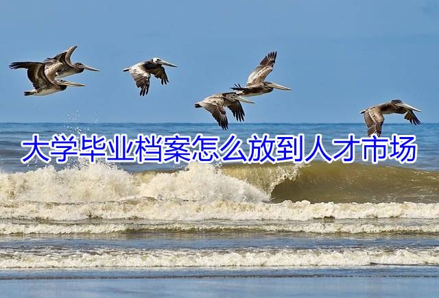 大学毕业档案怎么放到人才市场
