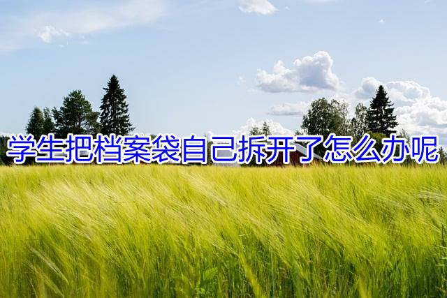 学生把档案袋自己拆开了怎么办呢