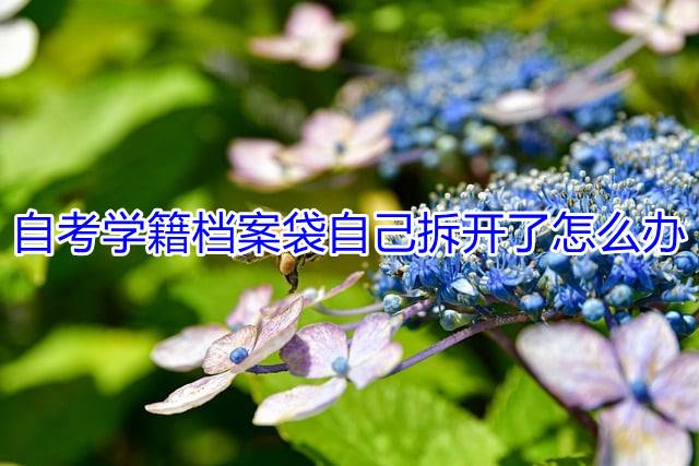 自考学籍档案袋自己拆开了怎么办