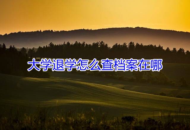 大学退学怎么查档案在哪