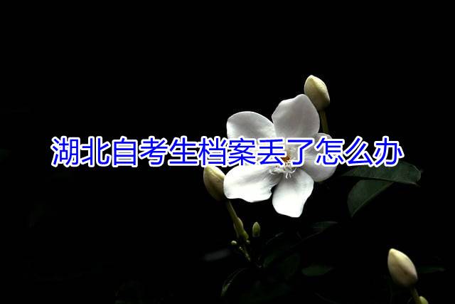 湖北自考生档案丢了怎么办
