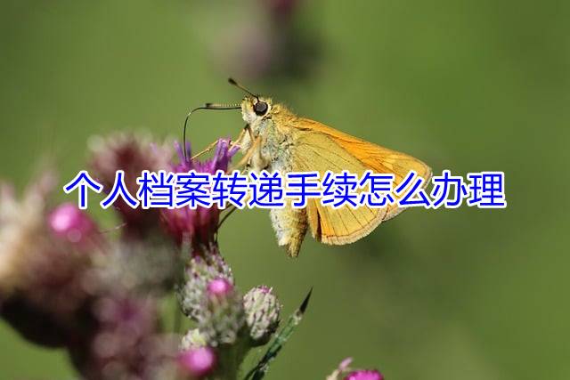 个人档案转递手续怎么办理
