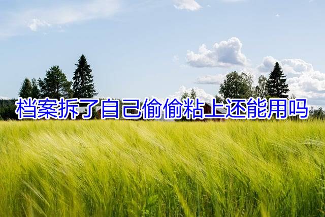 档案拆了自己偷偷粘上还能用吗