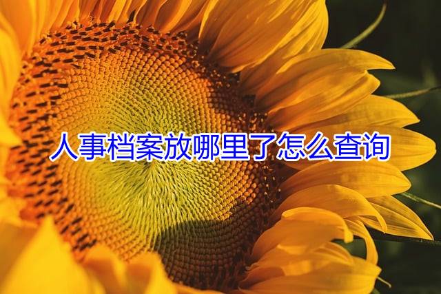 人事档案放哪里了怎么查询