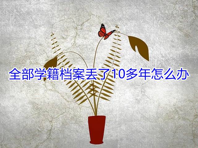 全部学籍档案丢了10多年怎么办