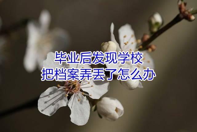 毕业后发现学校把档案弄丢了怎么办