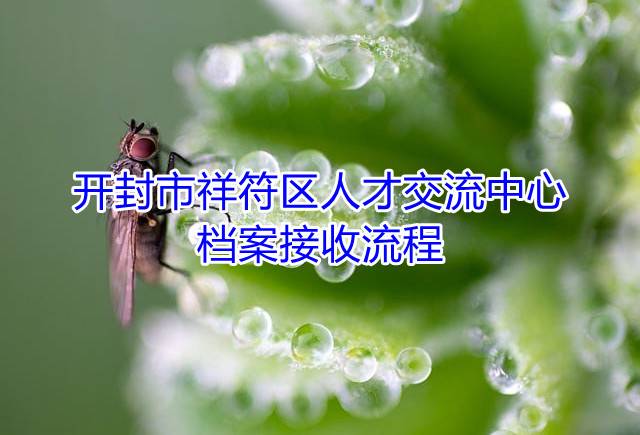 开封市祥符区人才交流中心档案接收流程