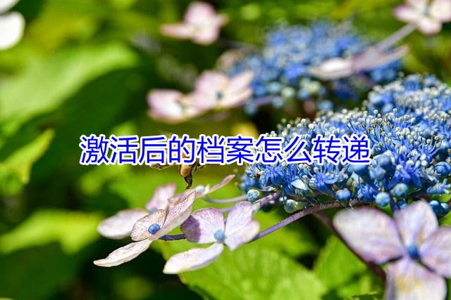 激活后的档案怎么转递