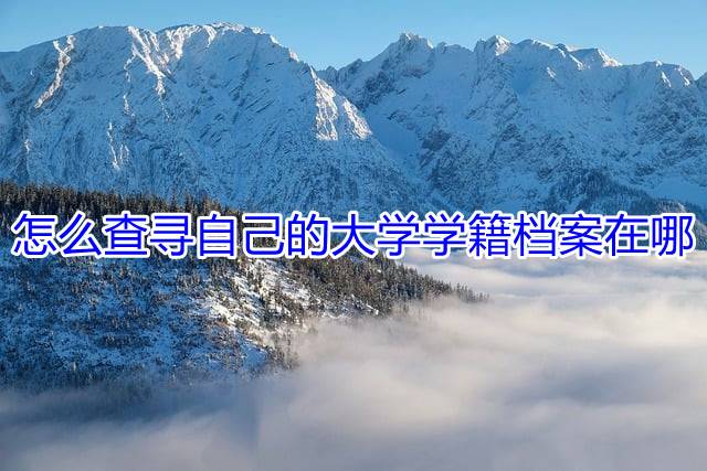 怎么查寻自己的大学学籍档案在哪