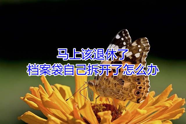 马上该退休了档案袋自己拆开了怎么办