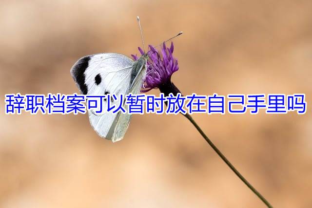 辞职档案可以暂时放在自己手里吗