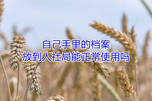 自己手里的档案放到人社局能正常使用吗