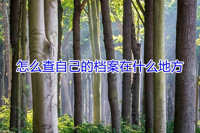 怎么查自己的档案在什么地方