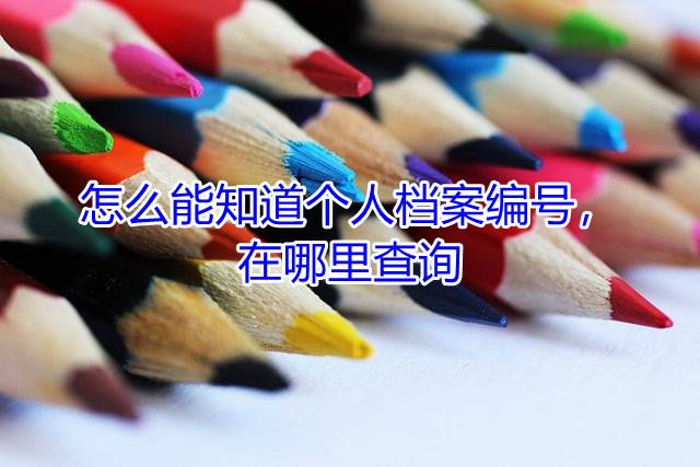 怎么能知道个人档案编号，在哪里查询