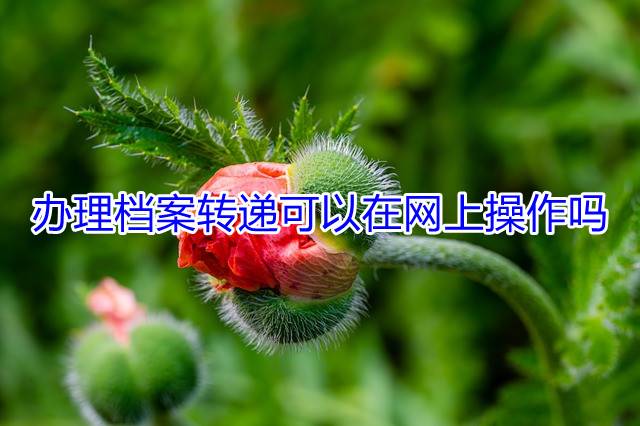 办理档案转递可以在网上操作吗